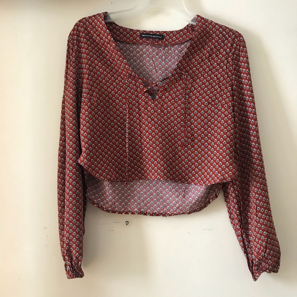 Vintage Styled Long Sleeved Crop Top